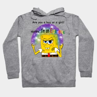 Honey, I’m an experience Hoodie